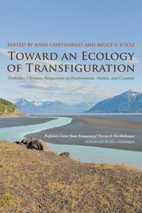 Cover image for book Toward an Ecology of Transfiguration