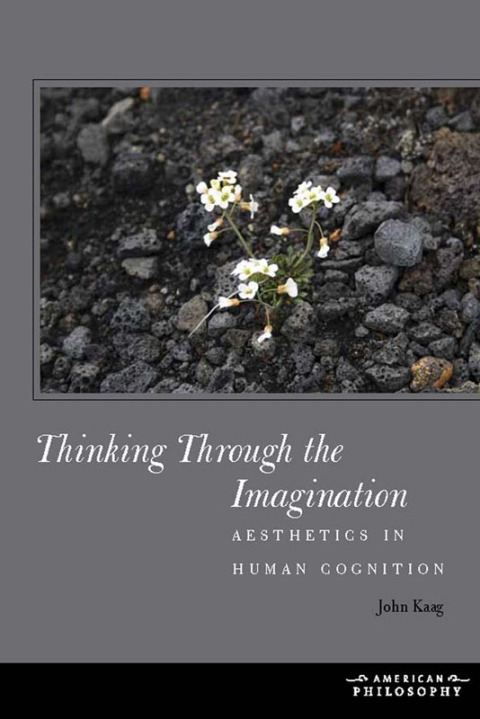 Cover image for book Thinking Through the Imagination