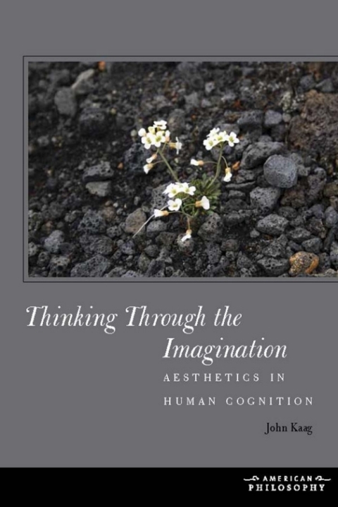 Cover image for book Thinking Through the Imagination