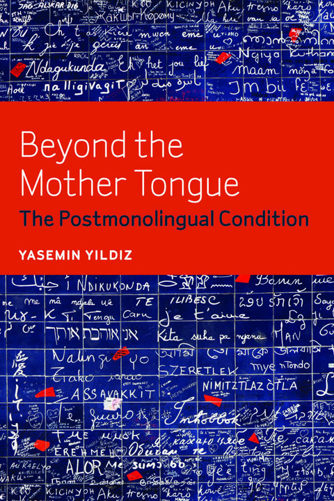 Cover image for book Beyond the Mother Tongue