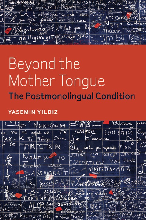 Cover image for book Beyond the Mother Tongue
