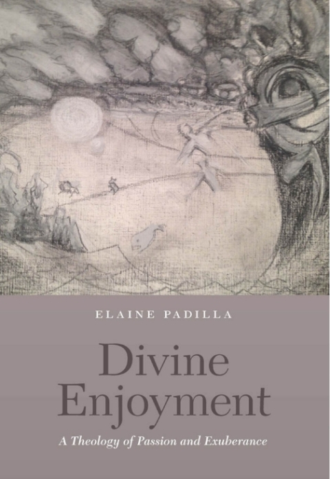 Cover image for book Divine Enjoyment
