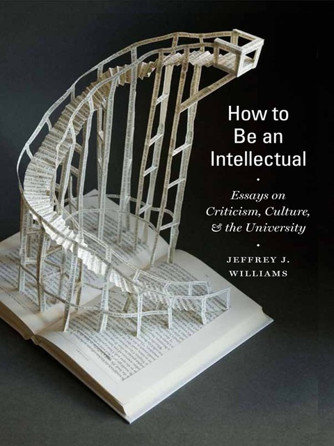Cover image for book How to Be an Intellectual