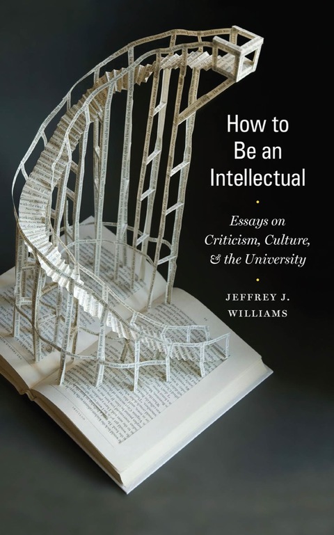 Cover image for book How to Be an Intellectual
