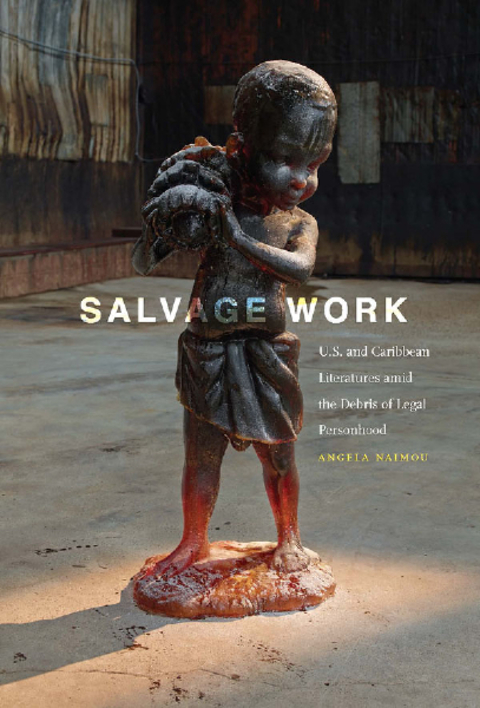 Cover image for book Salvage Work