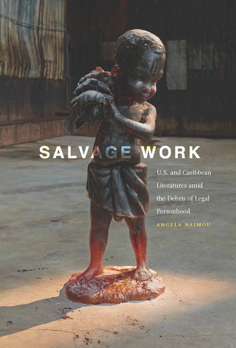 Cover image for book Salvage Work