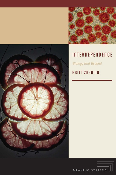 Cover image for book Interdependence