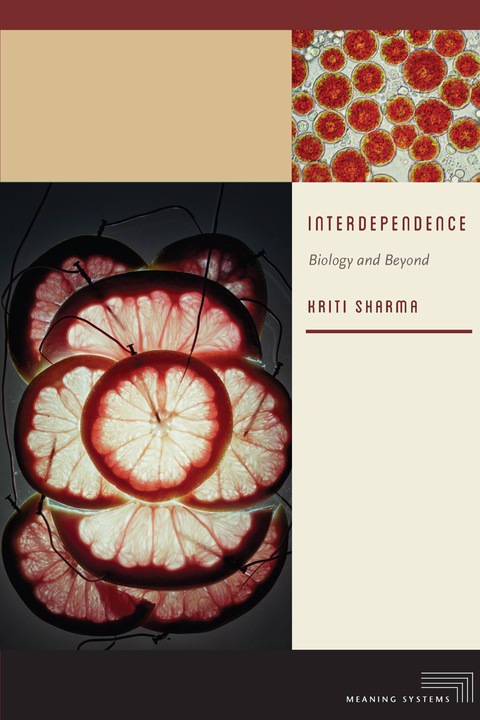 Cover image for book Interdependence