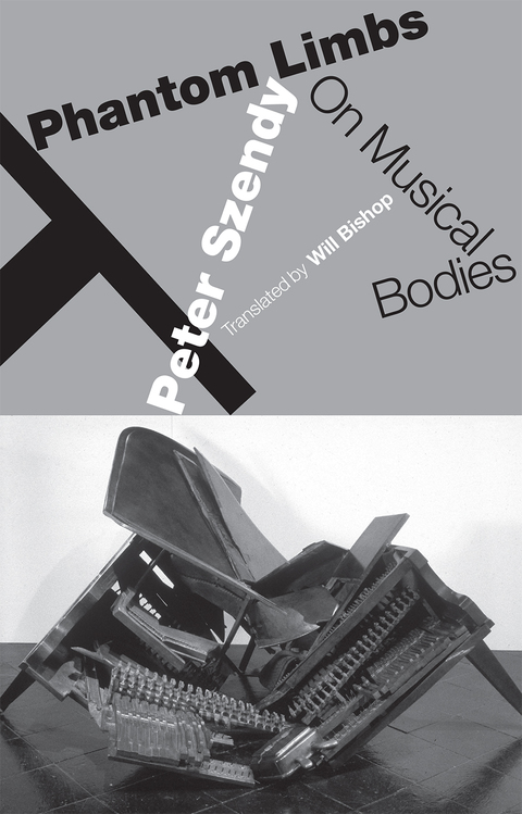 Cover image for book Phantom Limbs
