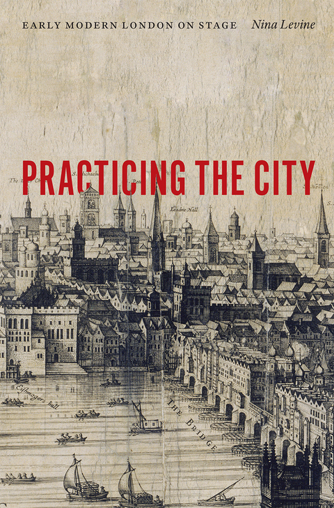 Cover image for book Practicing the City