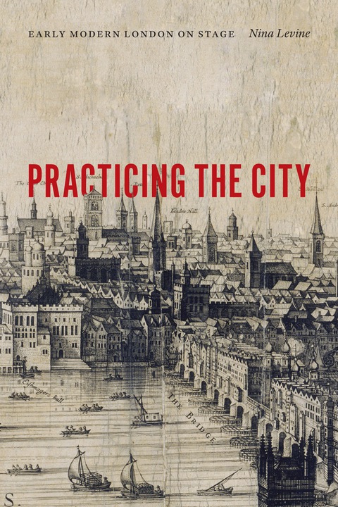 Cover image for book Practicing the City