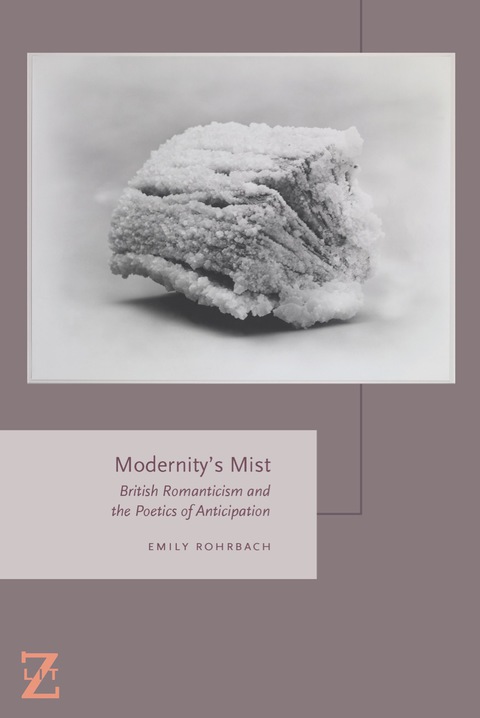 Cover image for book Modernity's Mist