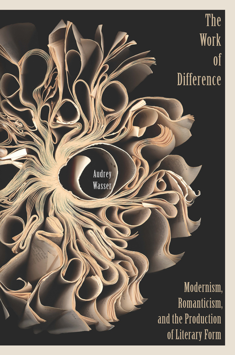 Cover image for book The Work of Difference