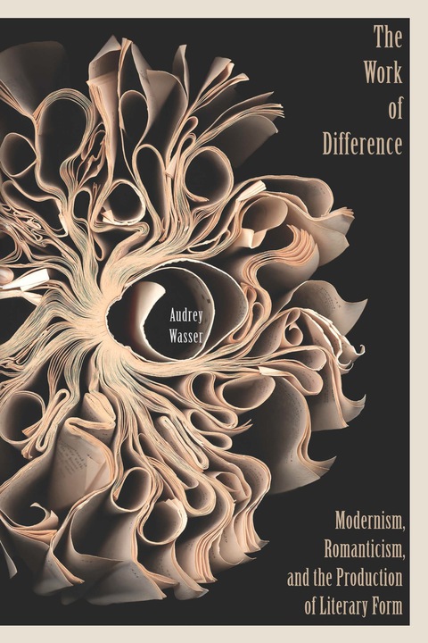 Cover image for book The Work of Difference