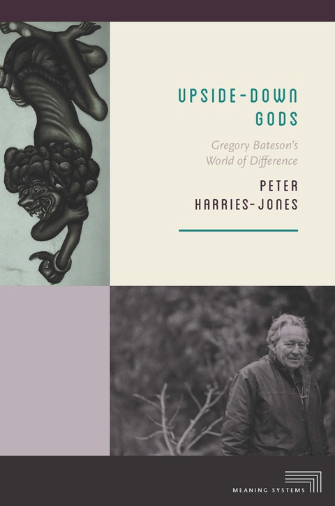 Cover image for book Upside-Down Gods
