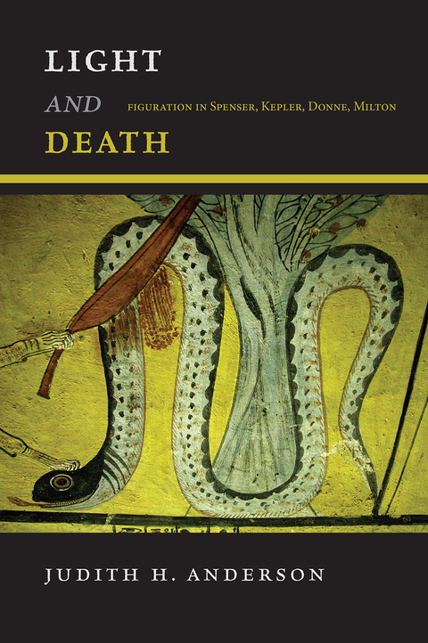 Cover image for book Light and Death