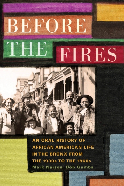 Cover image for book Before the Fires