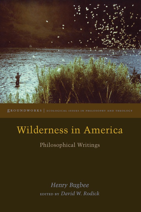 Cover image for book Wilderness in America