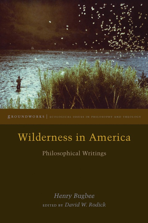 Cover image for book Wilderness in America