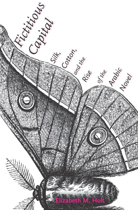 Cover image for book Fictitious Capital