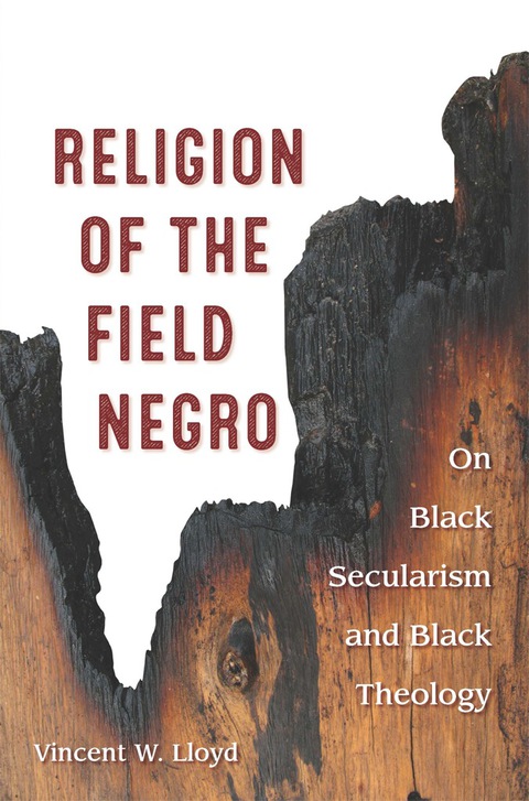 Cover image for book Religion of the Field Negro