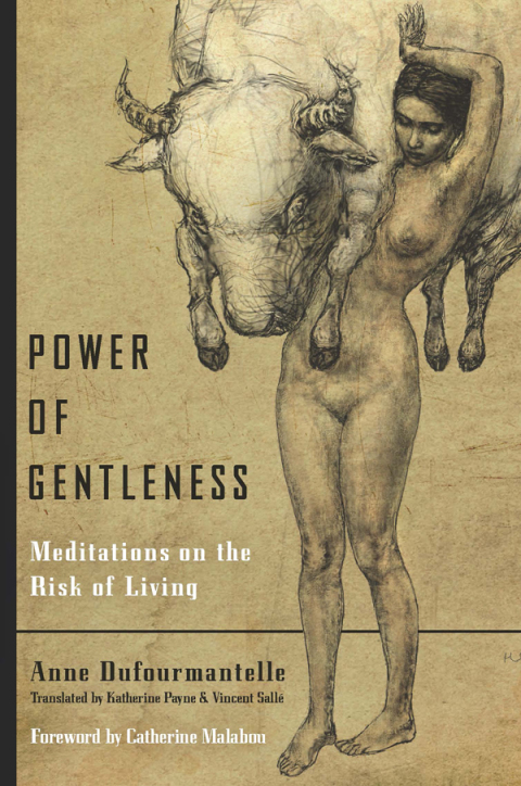 Cover image for book Power of Gentleness