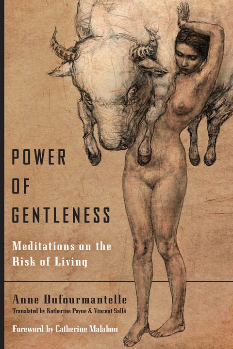 Cover image for book Power of Gentleness