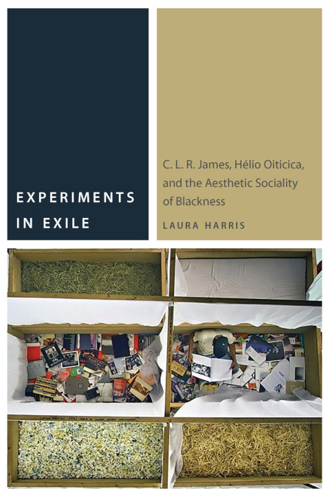 Cover image for book Experiments in Exile