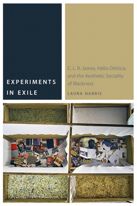 Cover image for book Experiments in Exile