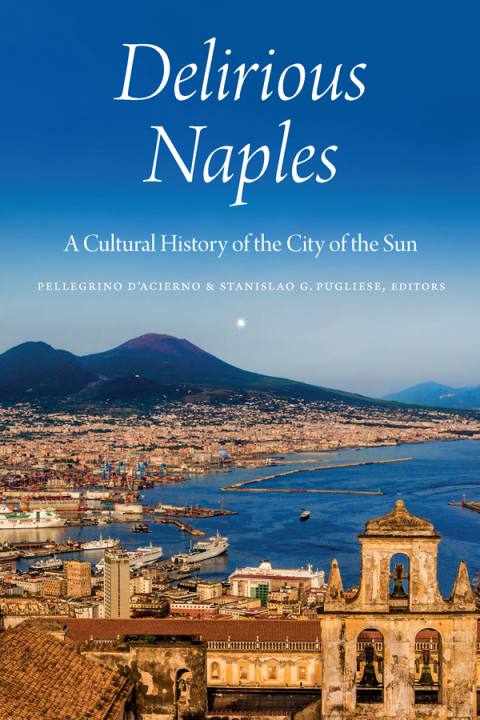 Cover image for book Delirious Naples