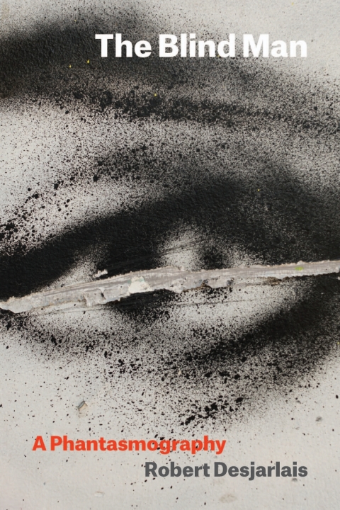 Cover image for book The Blind Man