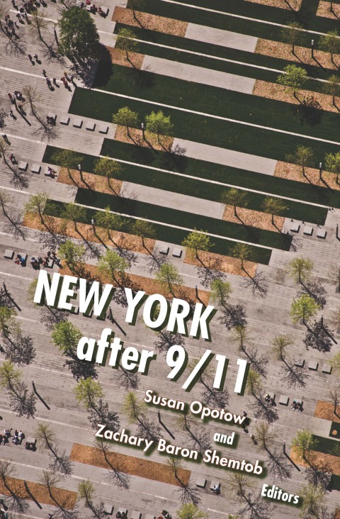Cover image for book New York After 9/11