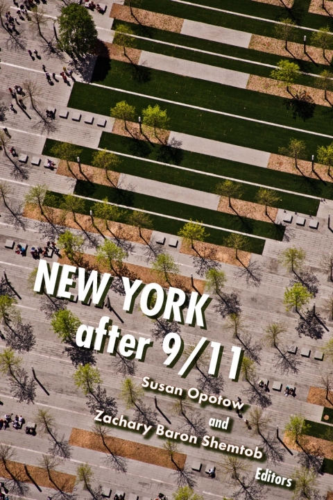 Cover image for book New York After 9/11