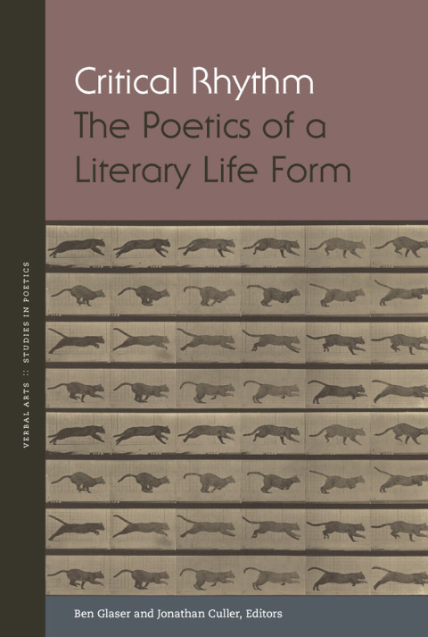 Cover image for book Critical Rhythm