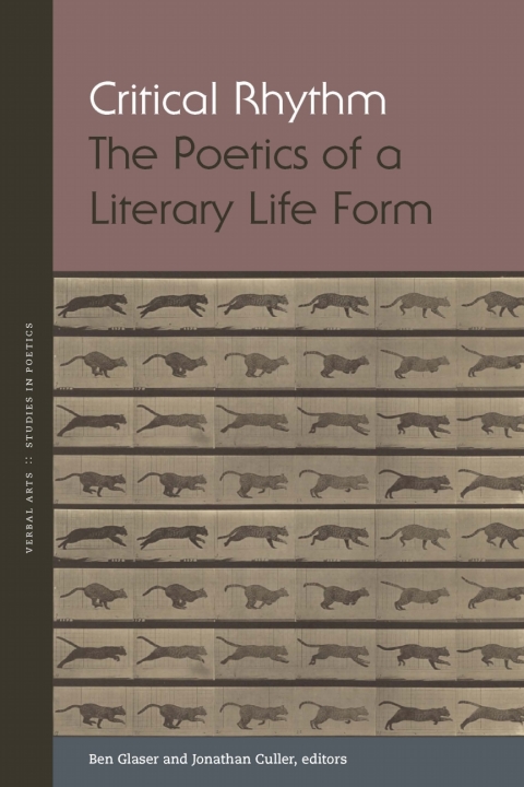 Cover image for book Critical Rhythm
