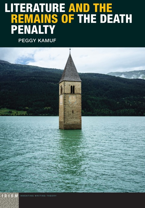 Cover image for book Literature and the Remains of the Death Penalty