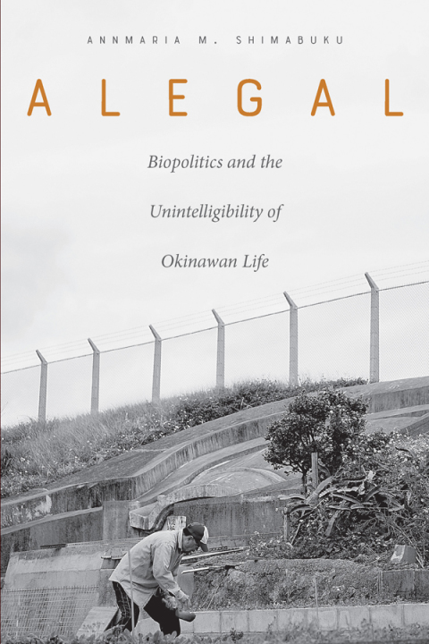 Cover image for book Alegal
