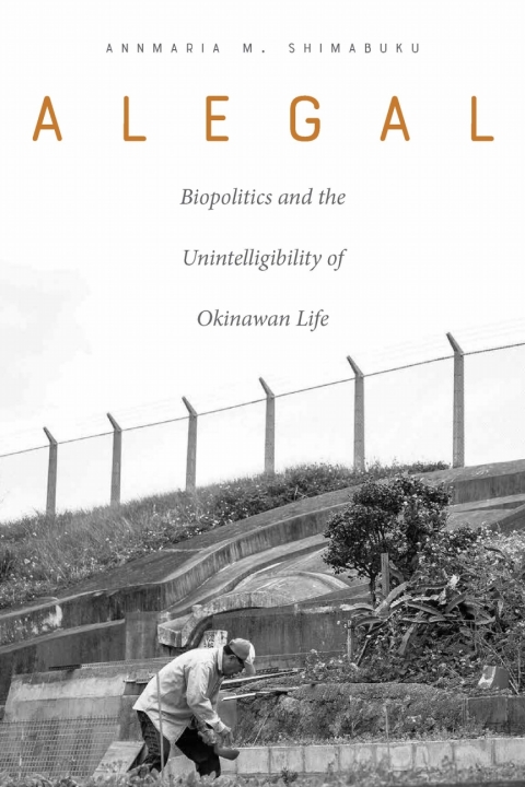 Cover image for book Alegal