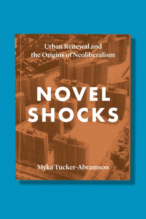 Cover image for book Novel Shocks