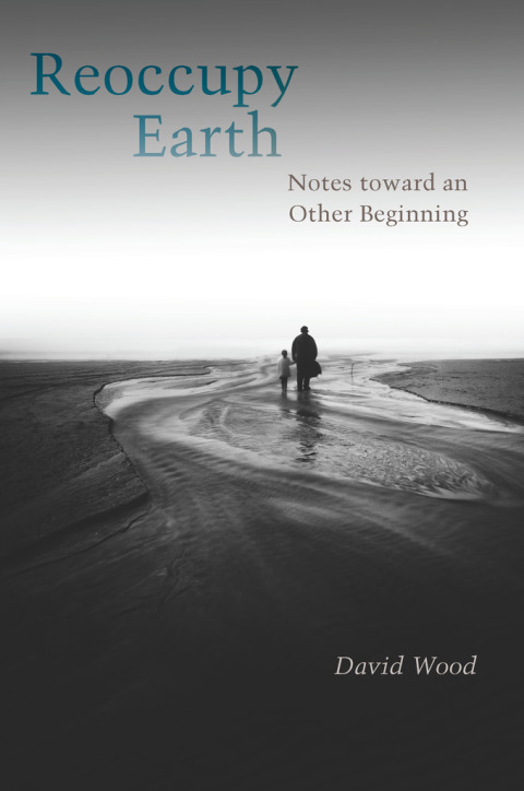 Cover image for book Reoccupy Earth