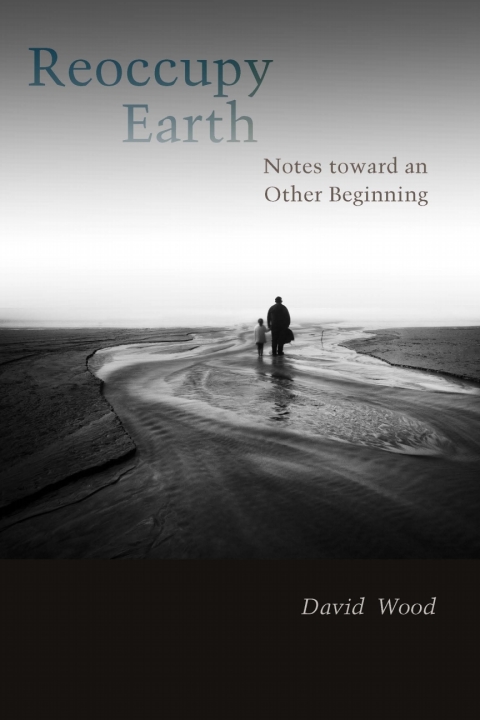 Cover image for book Reoccupy Earth