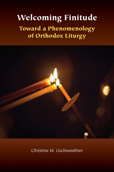 Cover image for book Welcoming Finitude