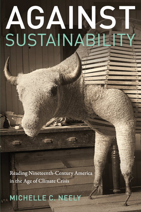Cover image for book Against Sustainability
