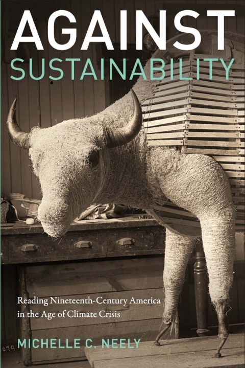 Cover image for book Against Sustainability