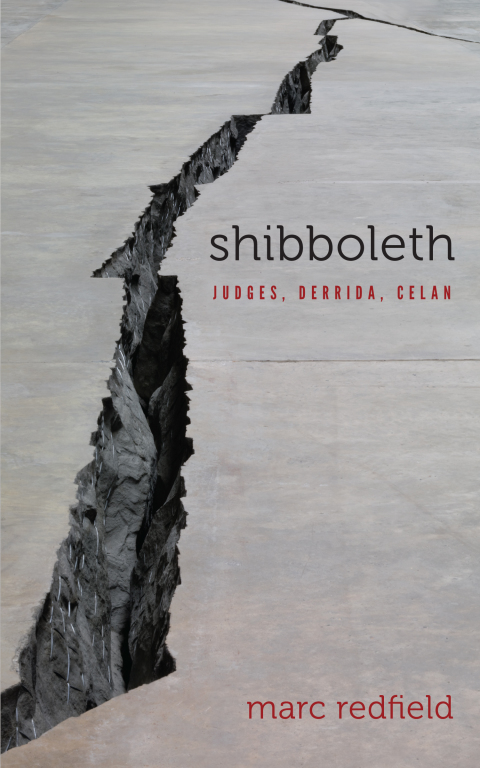Cover image for book Shibboleth