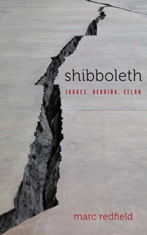 Cover image for book Shibboleth