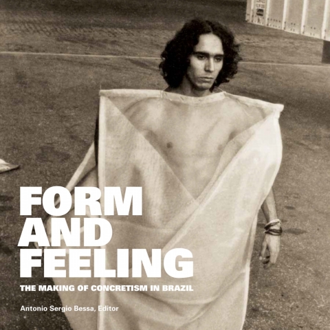 Cover image for book Form and Feeling