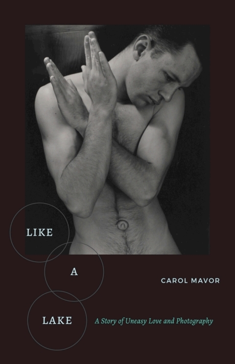 Cover image for book Like a Lake