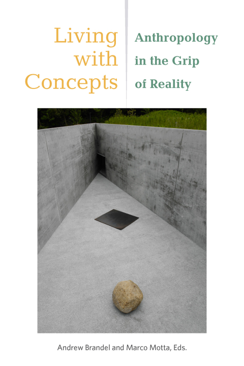 Cover image for book Living with Concepts