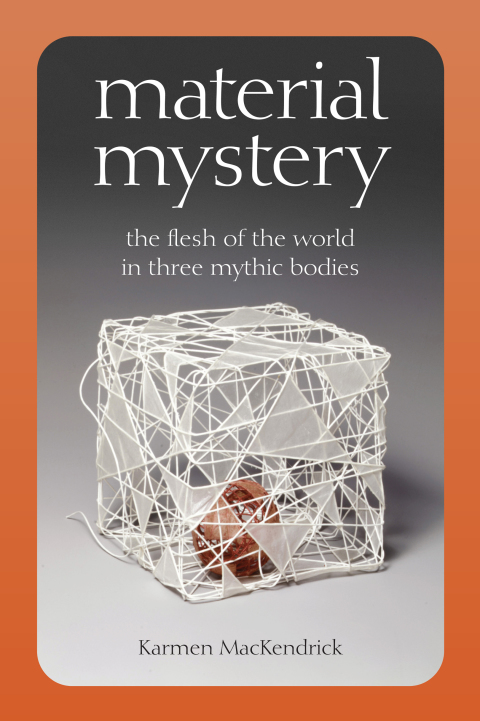 Cover image for book Material Mystery